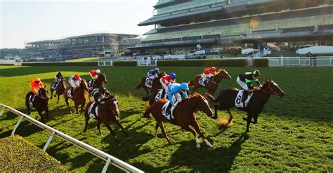 Stradbroke Handicap 2022 Barrier Draw .